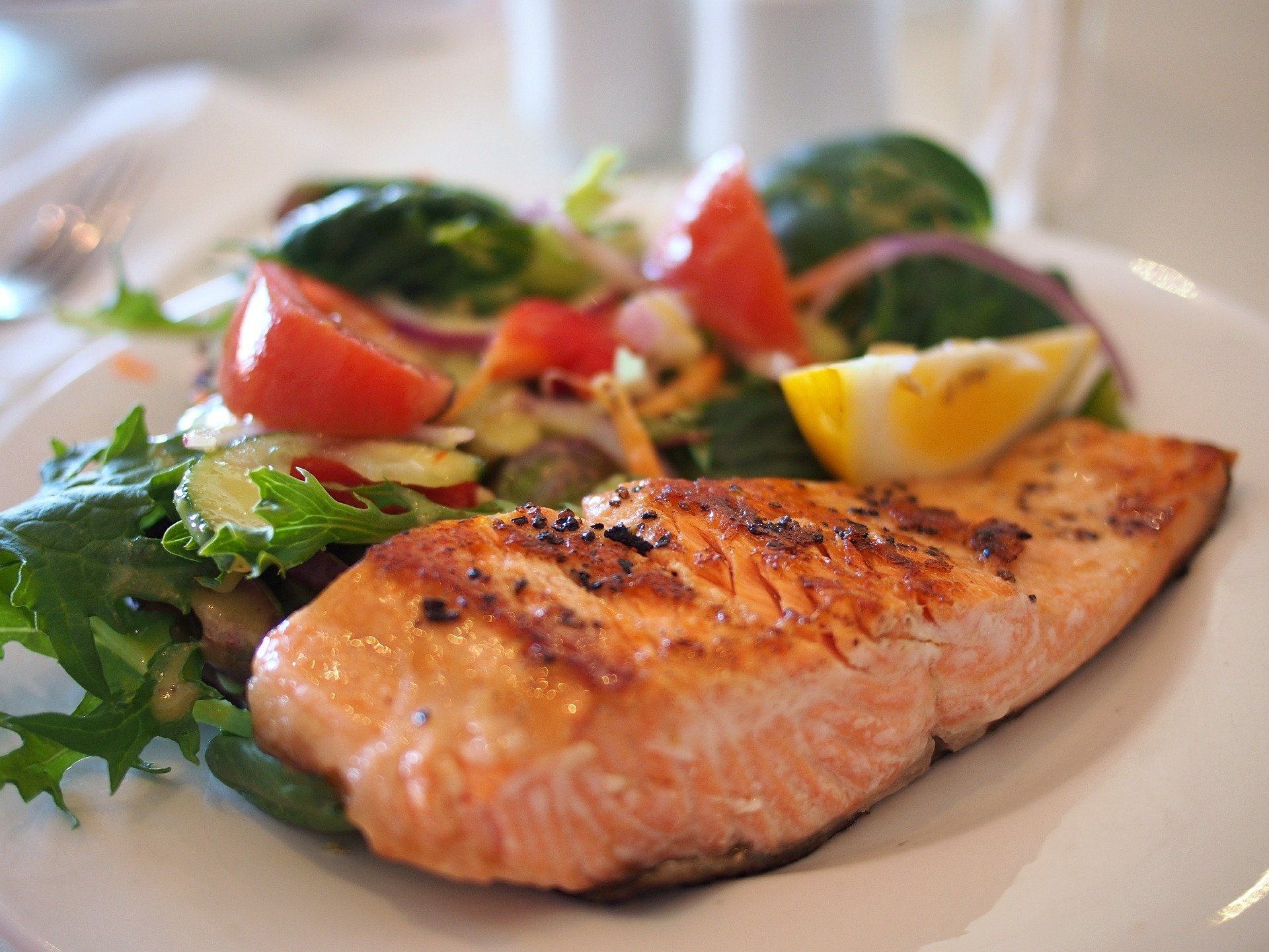 salmon for weight loss 2022