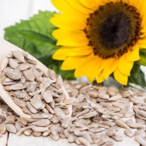 Experience Nature's Beauty: Premium Sunflower Seeds for Sale - Nourish Your Hair and Health!